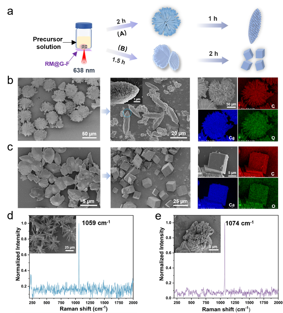 日历 AI 生成的内容可能不正确。